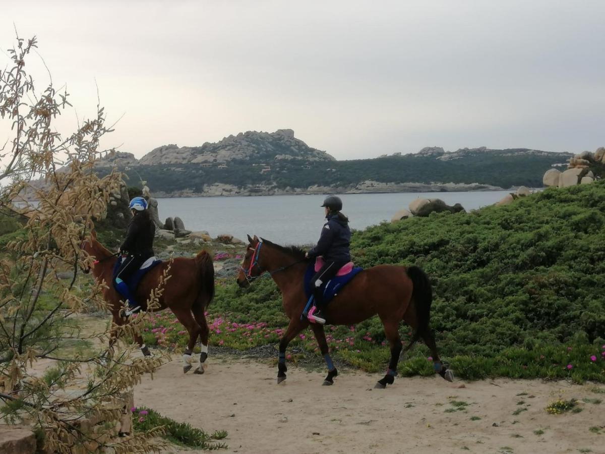Casa Baia Santa Reparata - Santa Teresa Di Gallura Iun Q1712 Exteriör bild